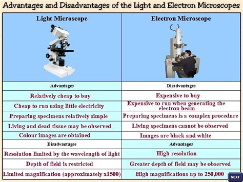 advantages and disadvantages of electron microscope|Introduction to the Electron Microscope .